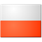 Korycki/Chiniewicz flag