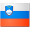Košenina/Bračko flag